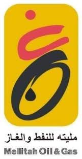 Partner 13
